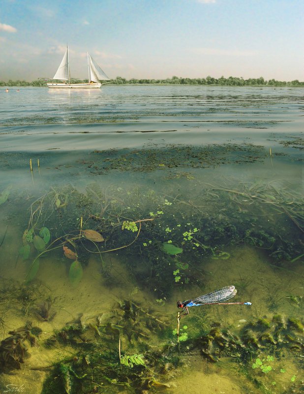 В Августе.photo preview