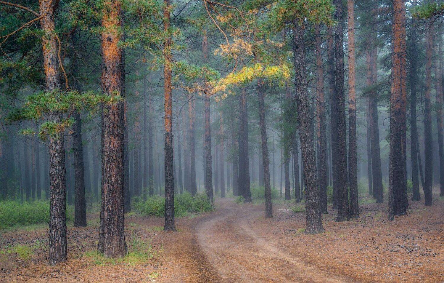 ***. Автор: Сергей Брагин , Сергей Брагин