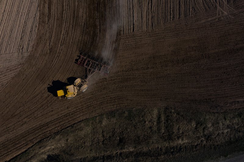 Без названияphoto preview