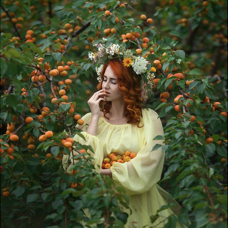 Apricots, абрикосы, желтое платье, рыжие волосы, девушка в венке, сборщица абрикос, рыжие локоны, абрикосы на ветке Абрикосы / Apricotsphoto preview