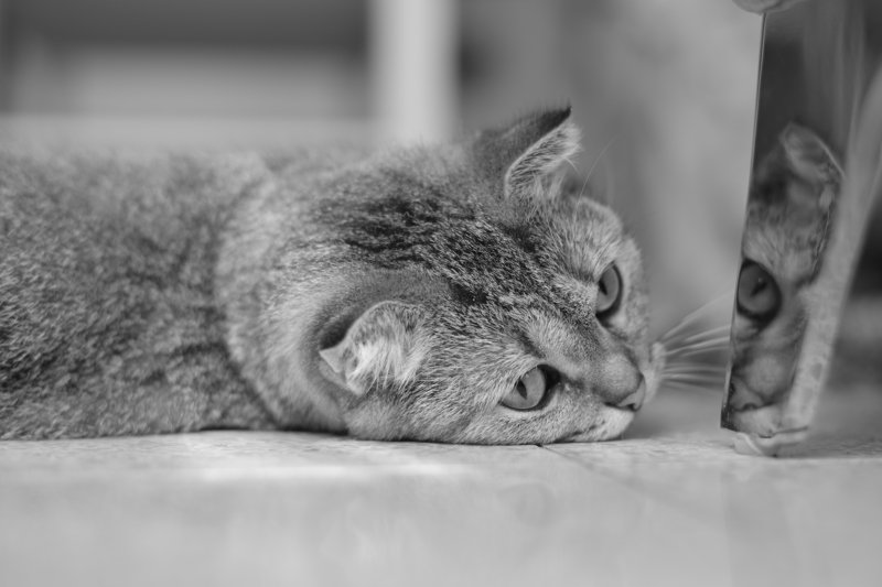 model #14photo preview