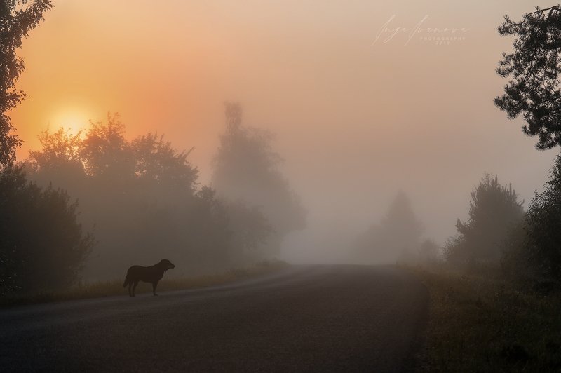 белая, радуга, -, осень, пришла осень пришлаphoto preview