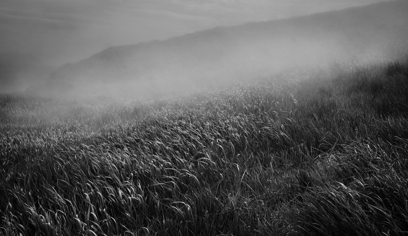 The Golden Age is overphoto preview