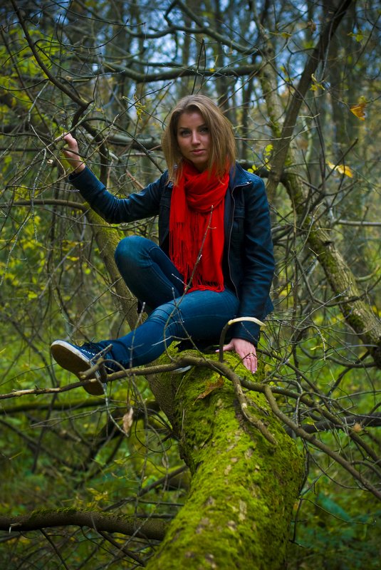 berendey mossphoto preview