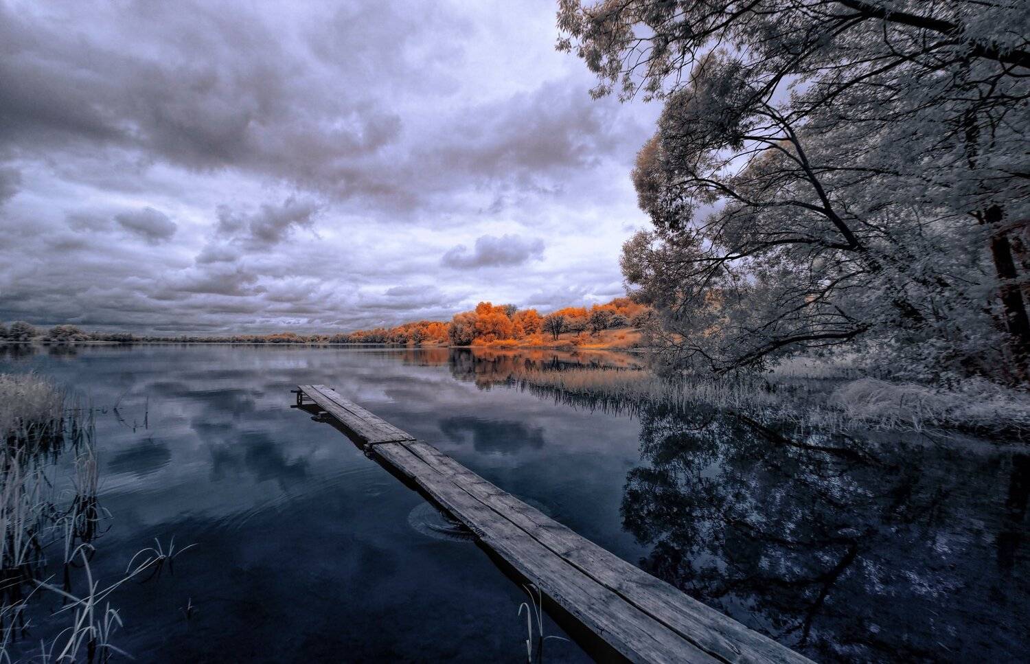 В первых отражениях осени.. Автор: Sixten ( Сергей ) infrared,ик-фото,инфракрасное фото, инфракрасная фотография, пейзаж, осень, Sixten ( Сергей )