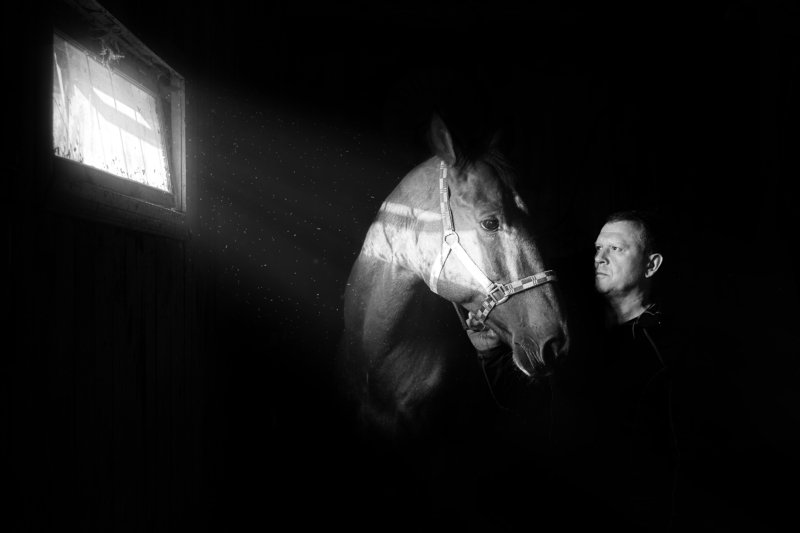 лошадь, человек, взгляд, друг Немой разговор...photo preview