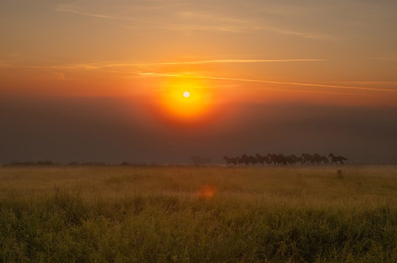 восход no titlephoto preview