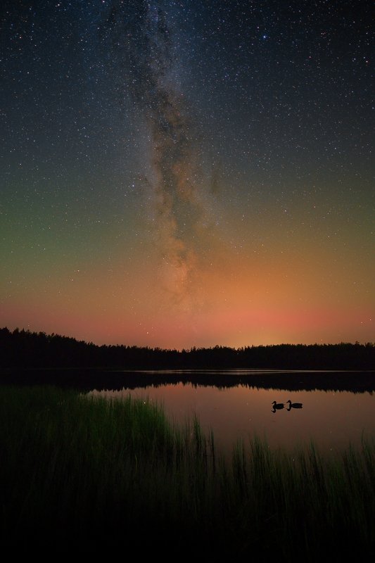 Duck lakephoto preview