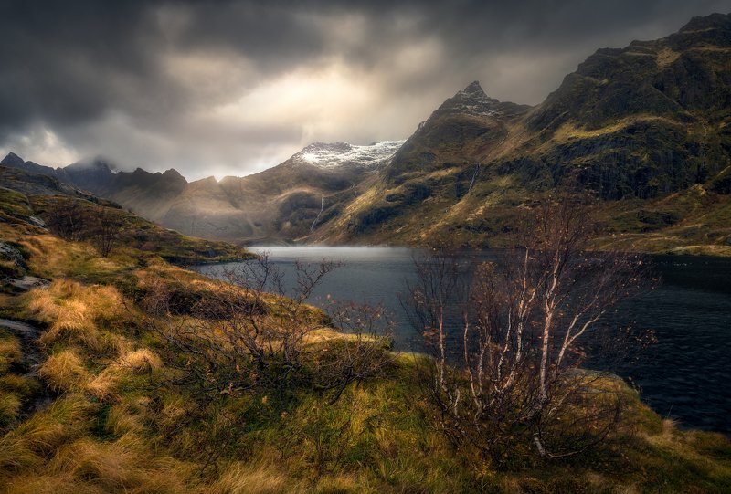 Norway The silence of naturephoto preview