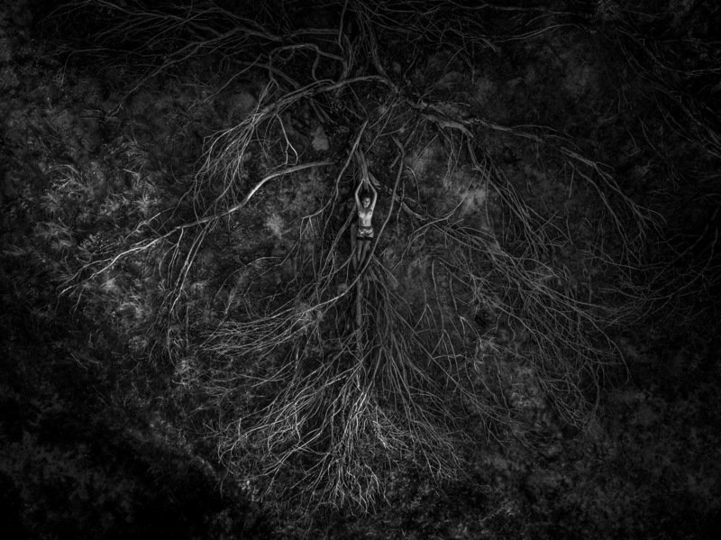 Единениеphoto preview