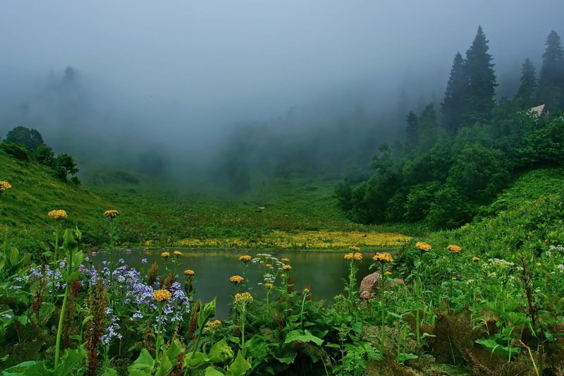 лето, горы Июльphoto preview