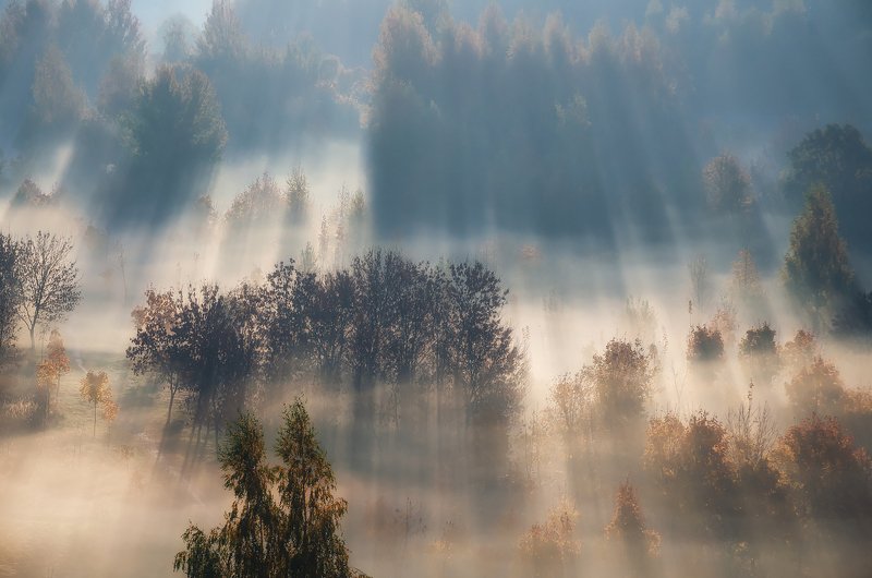 рассвет туман осень утро лучи Лучится рассвет фото превью
