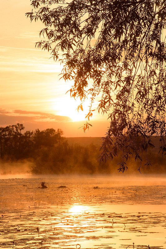 утро на рекеphoto preview