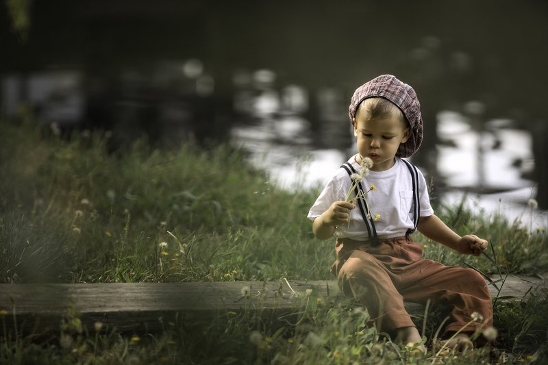 последние одуванчикиphoto preview