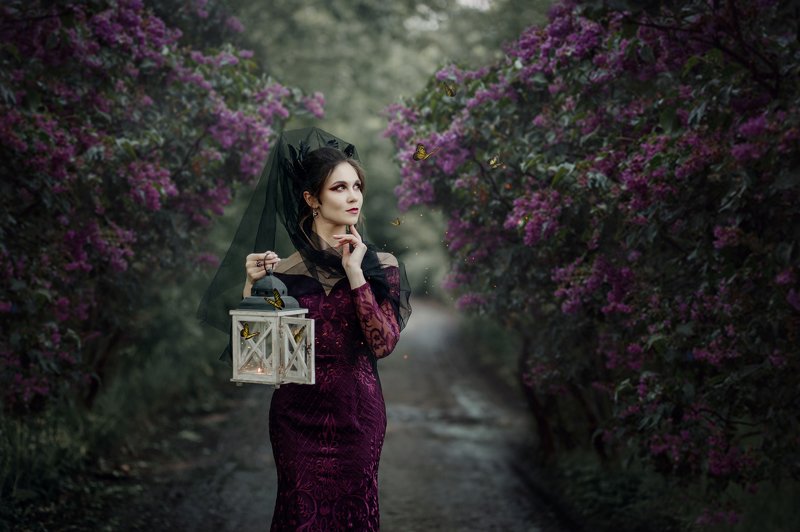 art portrait violet butterflies The Violet Countessphoto preview