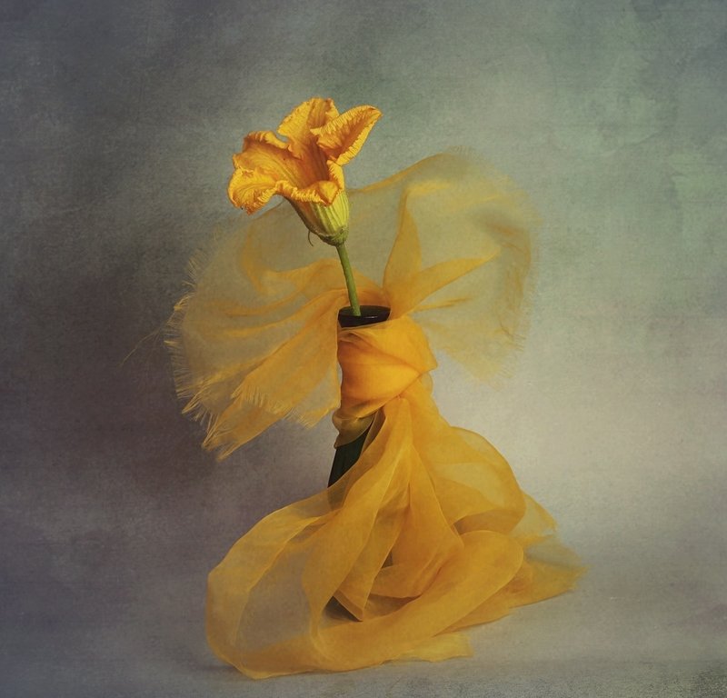 ... taneczniephoto preview