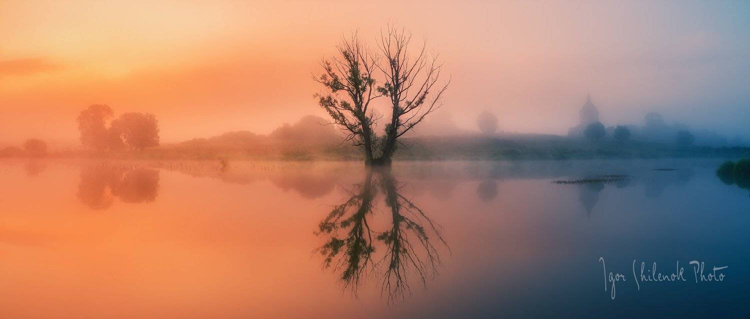 Как лето с осенью встречалось. Автор: Игорь Шиленок утро, туман, осень, Игорь Шиленок