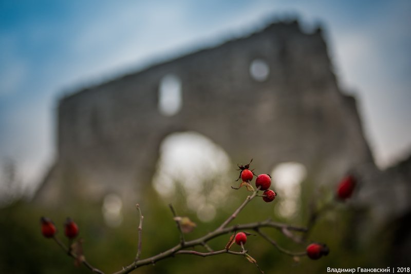 Цитадель фото превью