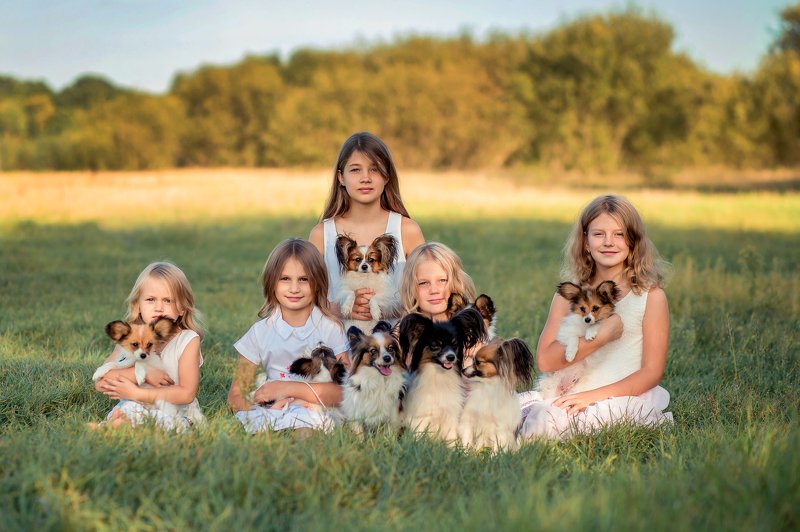 Папильоныphoto preview