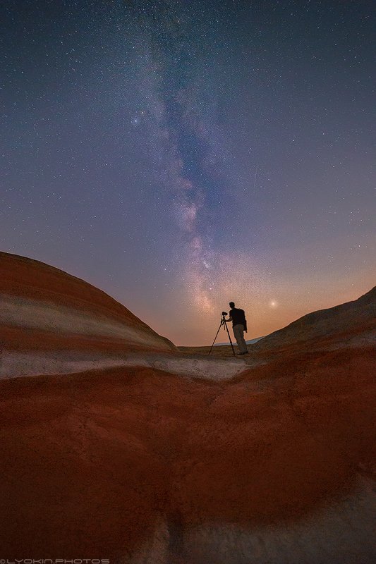 Ловец ночного света фото превью