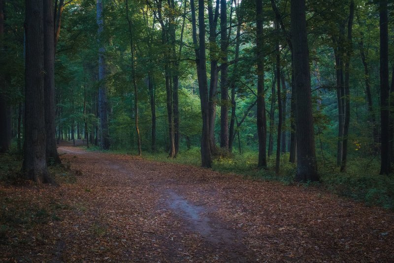 Парк. Начало осени.photo preview