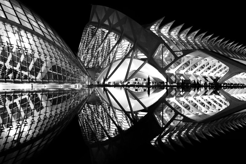 valencia, spain, santiago calatrava, luis lobo henriques, architecture, night, city Narcissus ribsphoto preview
