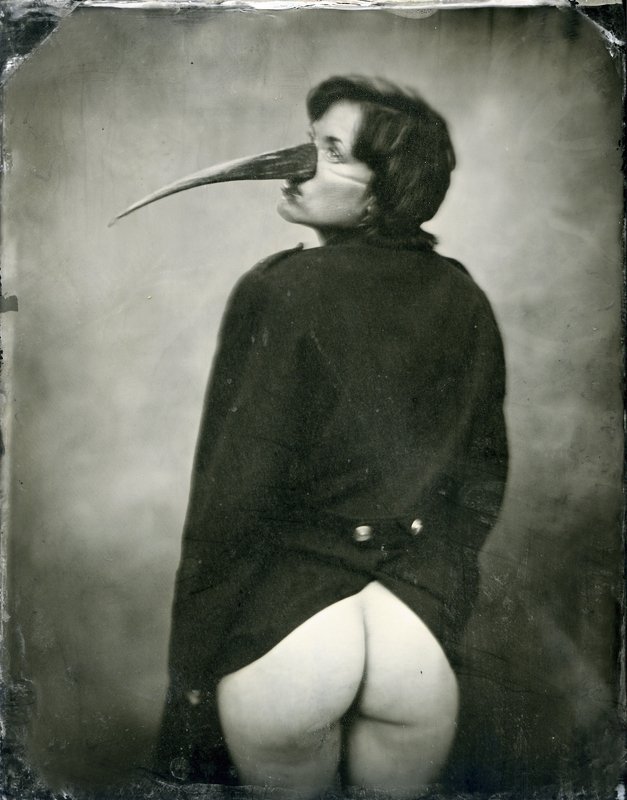 bw, wet plate collodion, altprocess, largeformat, plate untitledphoto preview