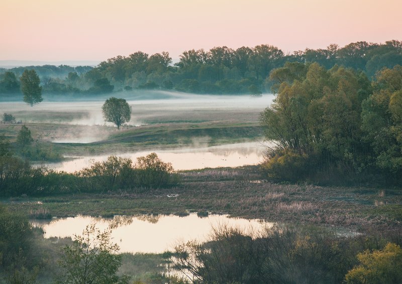 тишинаphoto preview