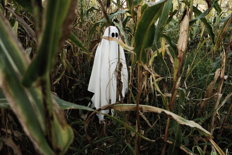 Однажды в ноябреphoto preview