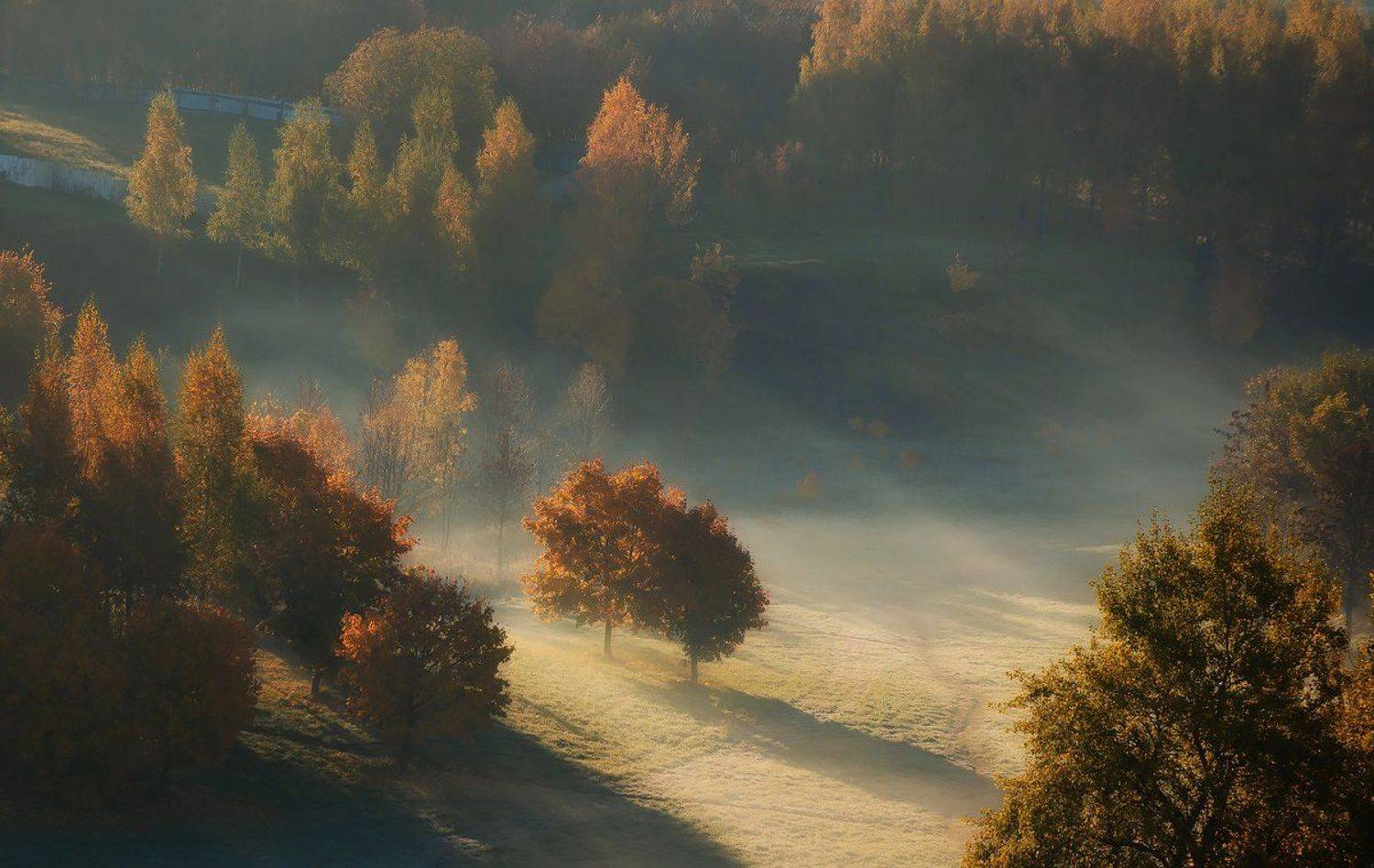 Просыпалась осень. Автор: Дима Карабинов осень, утро, рассвет, туман, Дима Карабинов