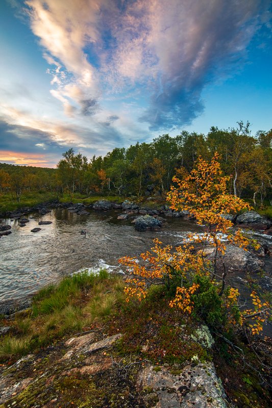 осень ***photo preview