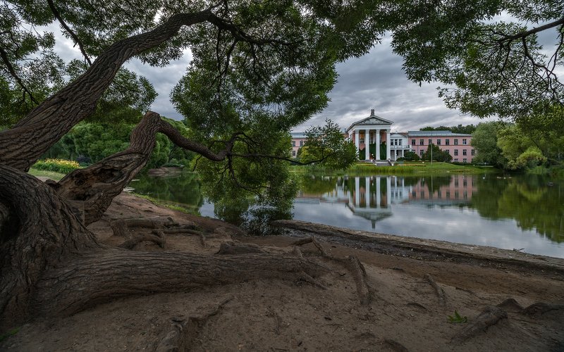 ботанический сад, москва, пасмурно, облака, вечер, пруд Пасмурный ботанический сад фото превью