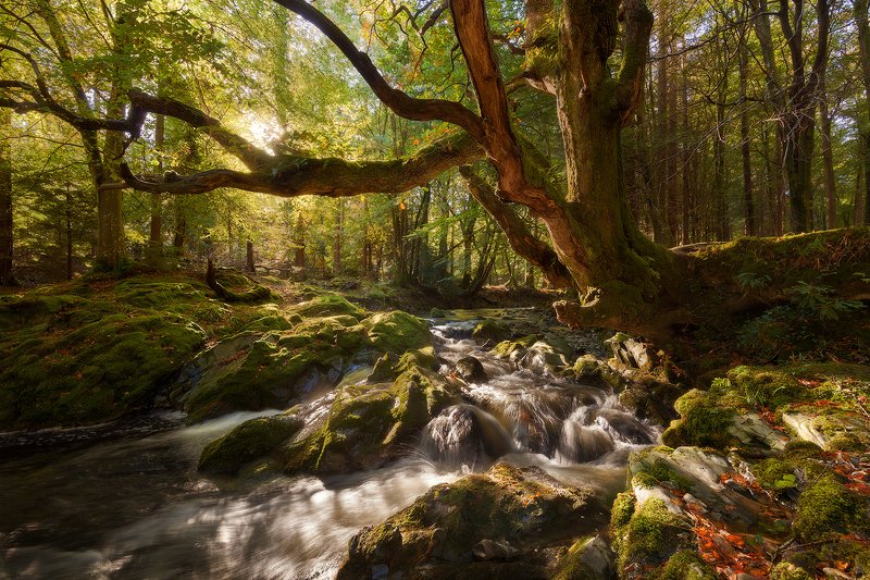 ireland, autumn Autumn in Irelandphoto preview