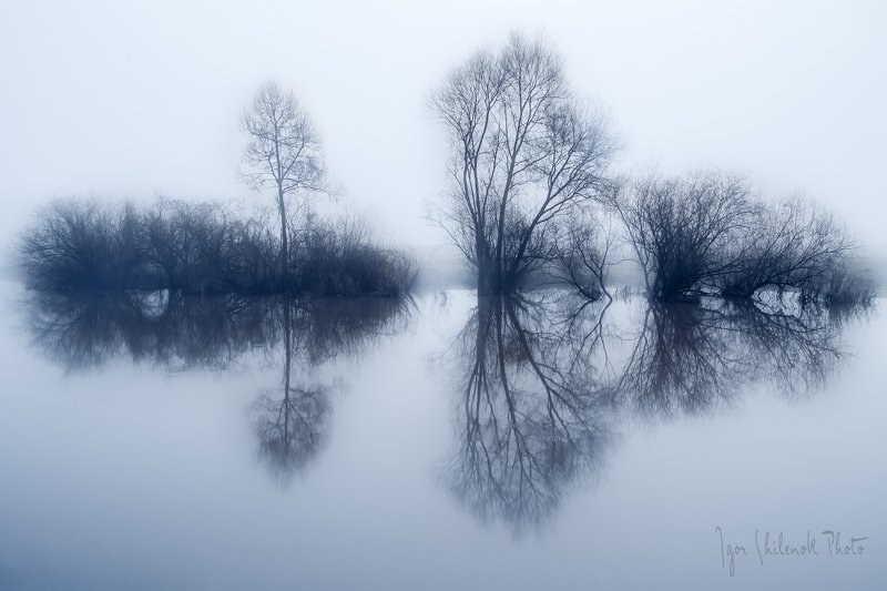 утро, туман ***photo preview