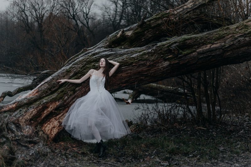 балерина зима модель The white swanphoto preview