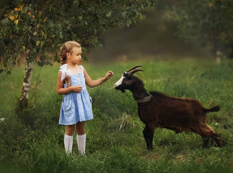 В деревнеphoto preview