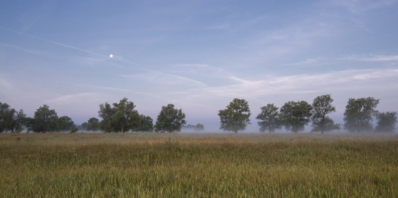 #омск, #тара, #окунево, #тюп Окунево. Ведьмин кругphoto preview