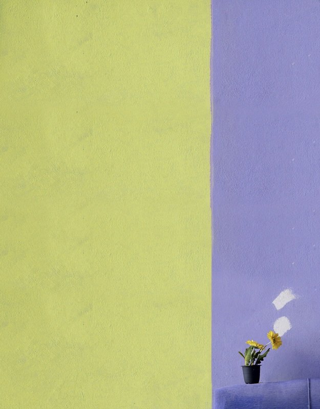 part of mephoto preview