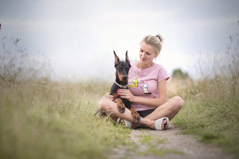 dog, doberman Adellphoto preview