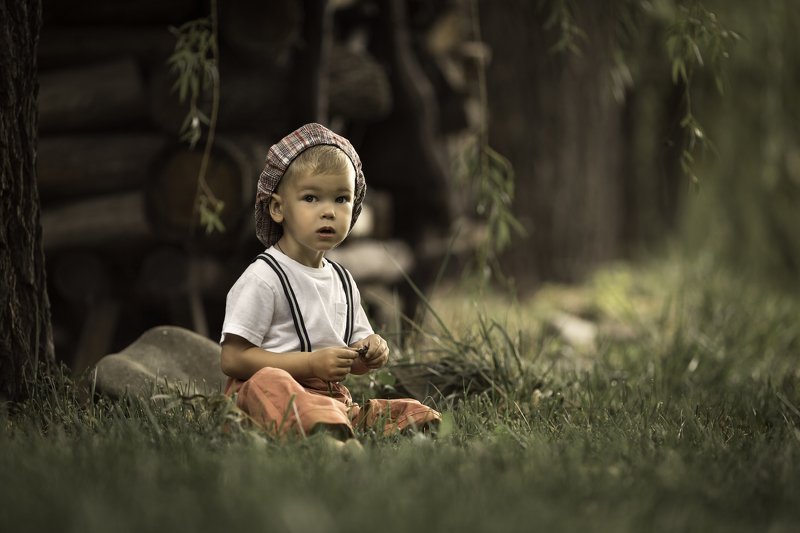 избушкаphoto preview