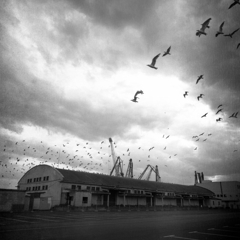 Hitchcockphoto preview