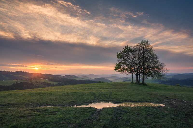 mountains, spisz, pieniny, poland, morning, sunrise, sun, tree, lonely, Morning in Spiszphoto preview