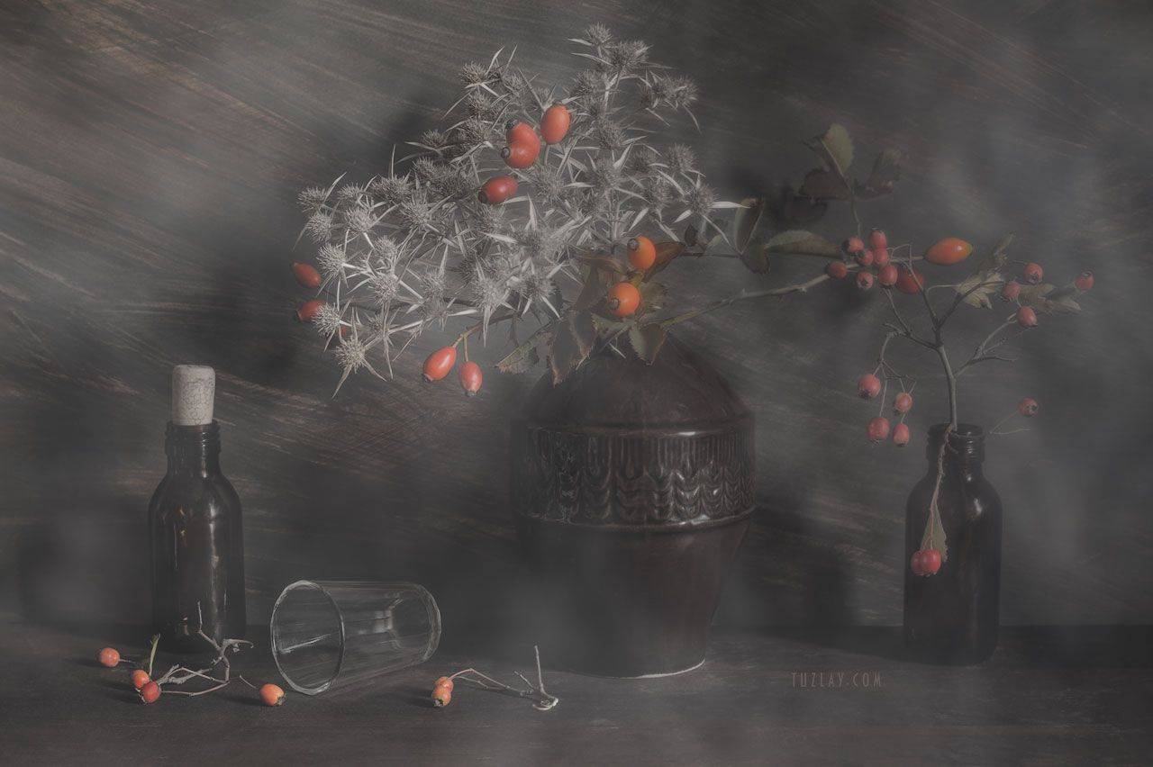 Колючий натюрморт. Автор: Владимир Тузлай шиповник, боярышник, колючки, Владимир Тузлай