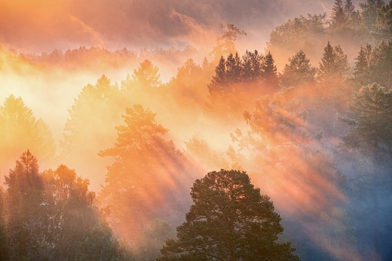 Краски летнего утраphoto preview