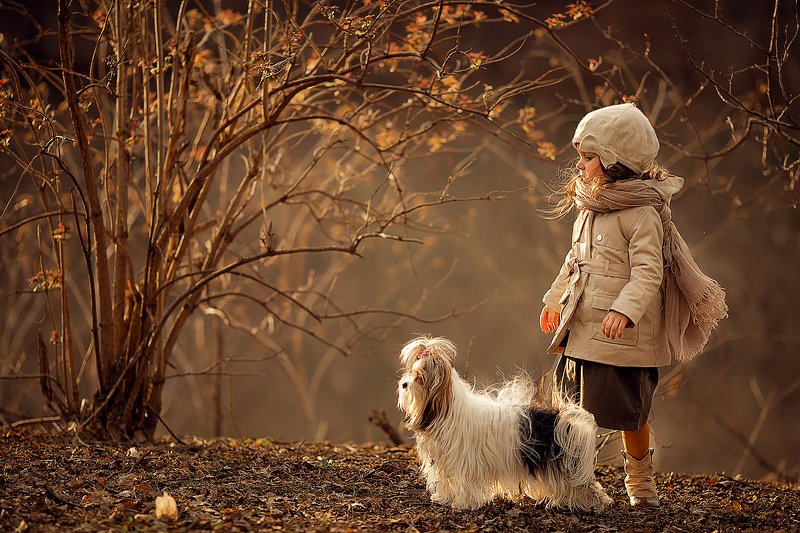 Другиphoto preview