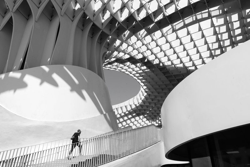 metropol, parasol, seville, spain, architecture, luis lobo henriques Las Setasphoto preview