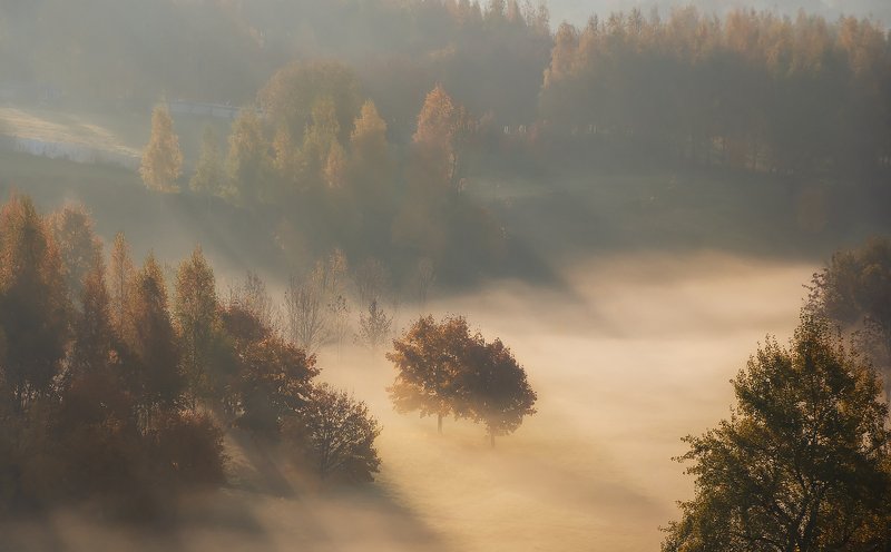 утро, рассвет, туман, осень, октябрь Утро осеннее фото превью