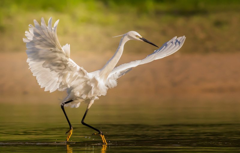 -,.-,.-,.photo preview