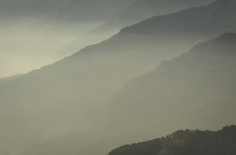 Крым, Crimea, лес, туман, Алушта Состояние перспективыphoto preview