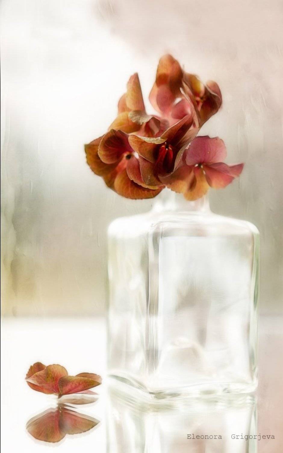 Предчувствие осени. Автор: Eleonora Grigorjeva , Eleonora Grigorjeva